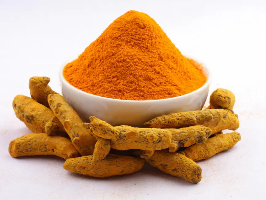 Health benefits of Turmeric for Dogs and Cats