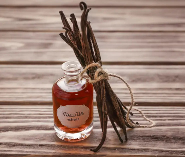 Natural Bug Repellent: Essential Oils Guide