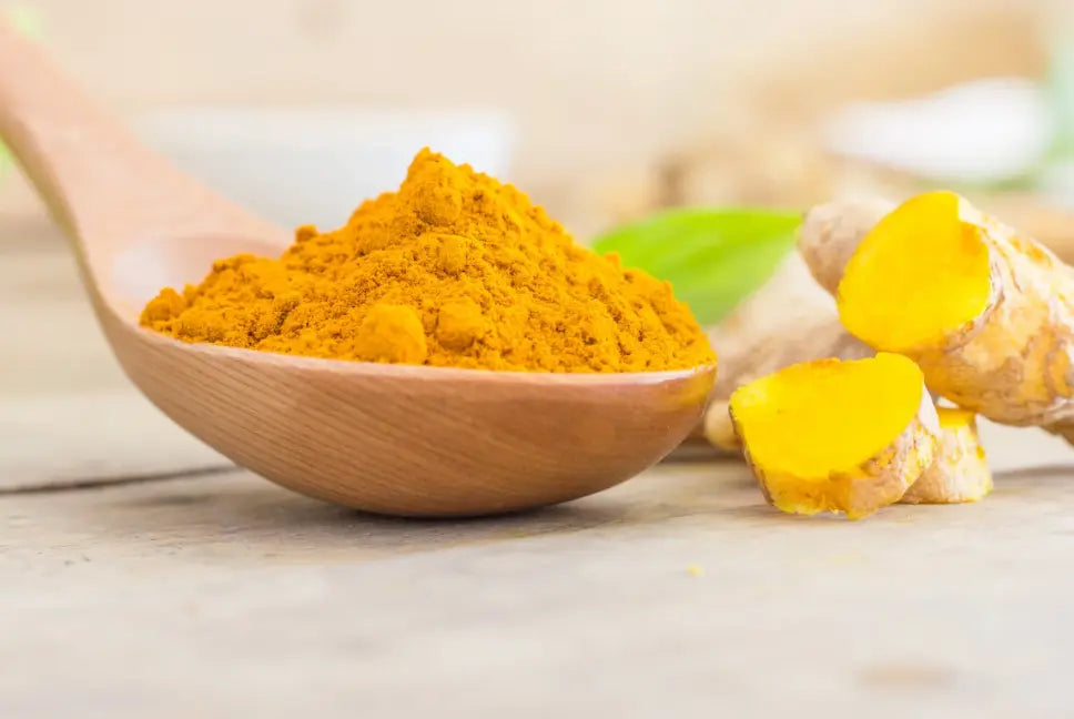 Turmeric and Aloe for Pet Ear infection