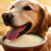 Can Dogs Eat Egg Shells? A Complete Guide on How to Safely Give Them