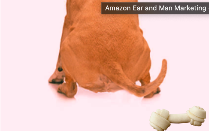 A closeup of Dog scooting in pain