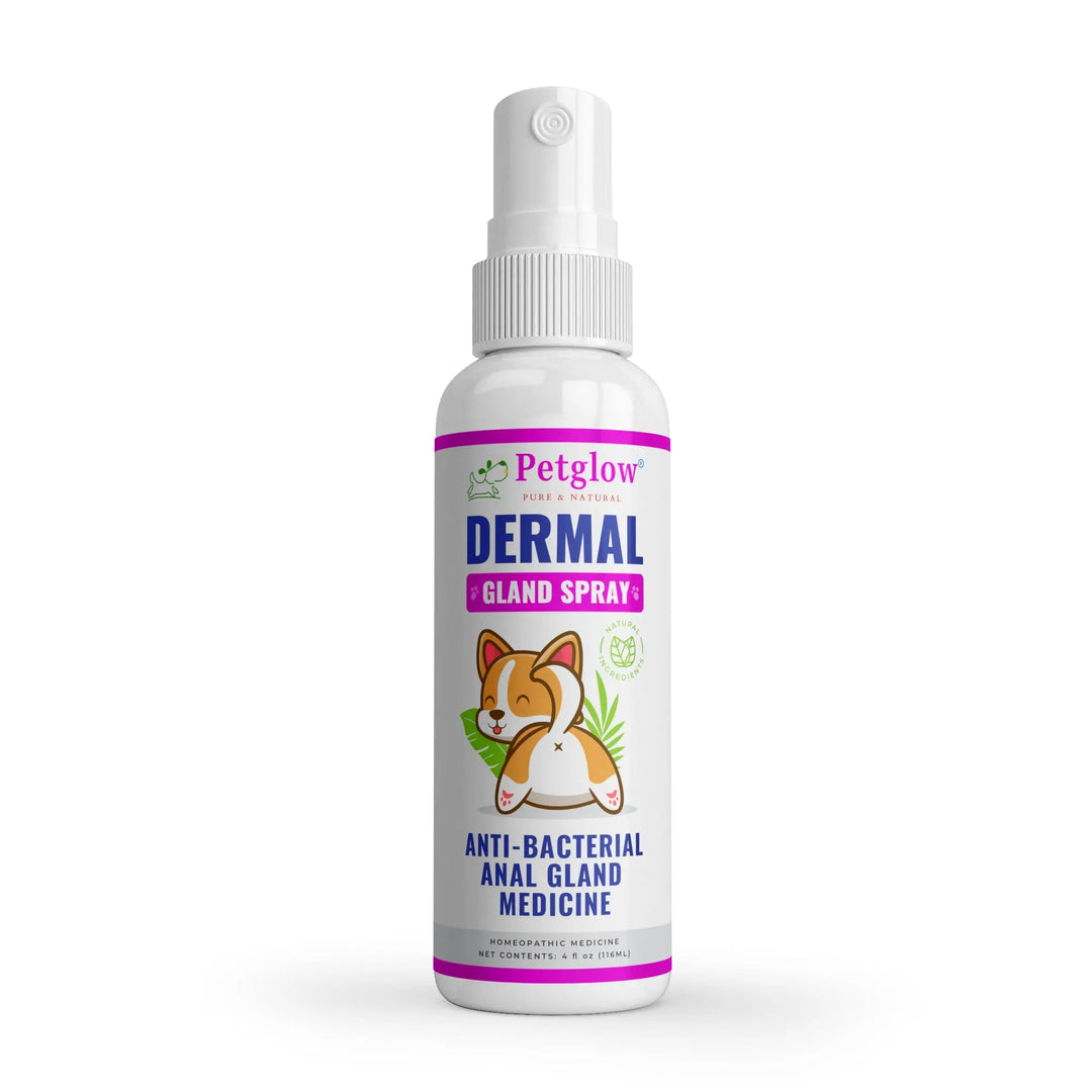 Anal Gland Dogs Petglow Anal Gland Medicine, Anal Cleaning for Dogs, Anal  Gland Anti-Microbial Support