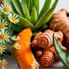 Top Health Benefits of Turmeric for Dogs