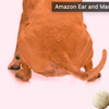 Effective Dog Swollen Anus Treatment at Home: Pet Owners Guide