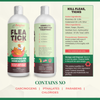 Petglow Plant-Based Flea and Tick Shampoo, for Dogs and Cats, with Cedarwood Rosemary, Botanical Daily Pet Wash, No Parabens, Phthalates, Chlorides, Good for Sensitive Skin, 4 Fl Oz