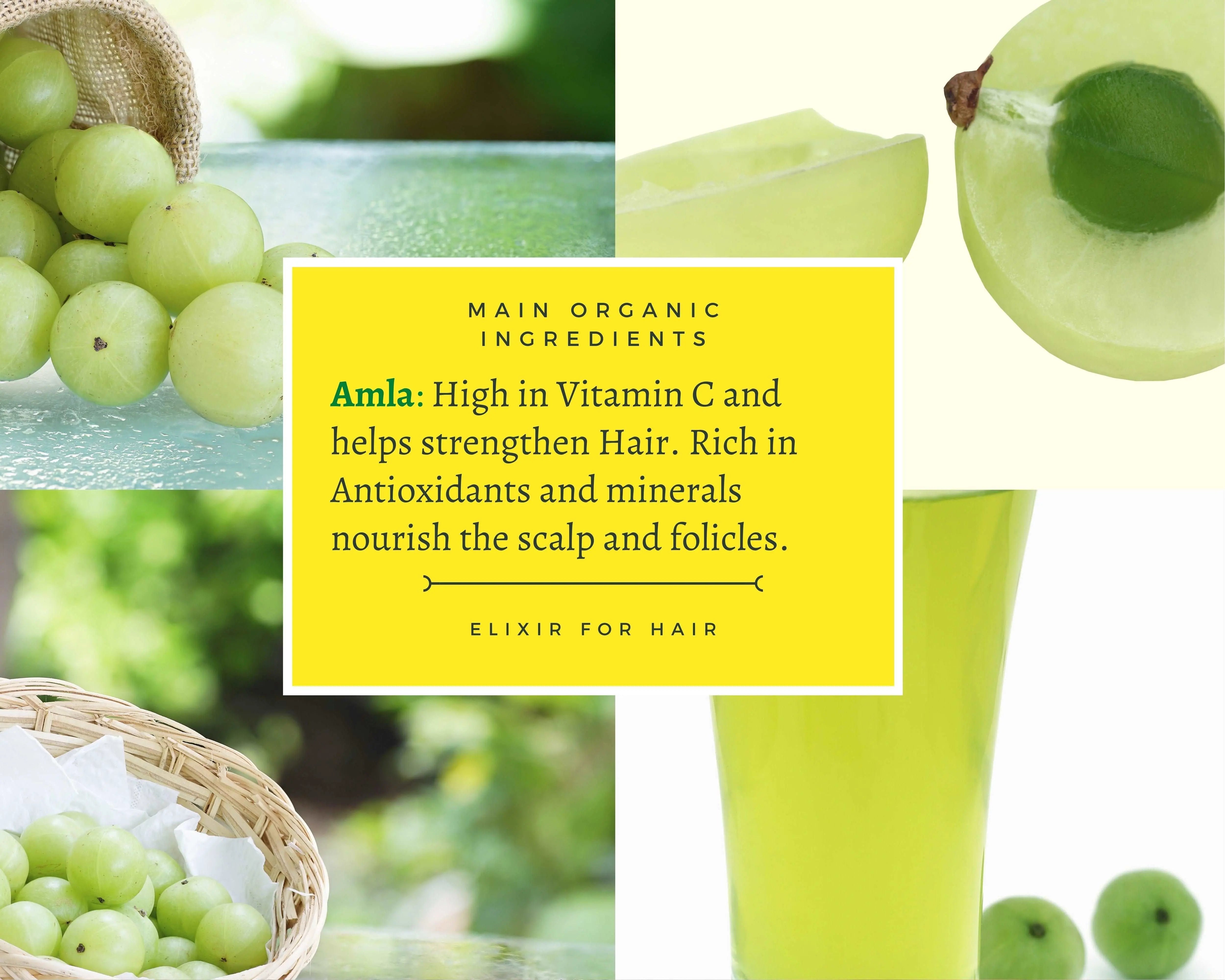 Amla shampoo ingredients: fresh berries, slices, and juice for organic hair care.