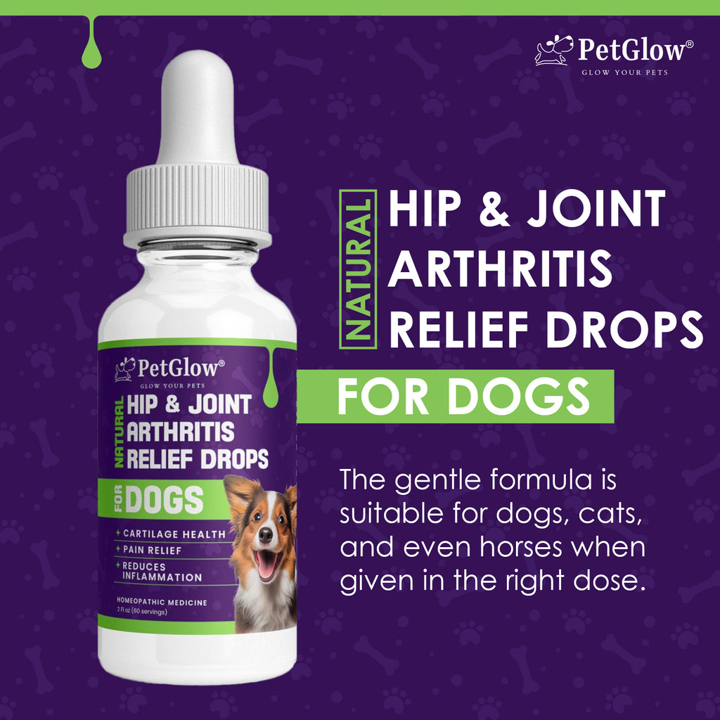 PetGlow® Natural Hip & Joint Arthritis Relief Drops with Curcumin & Boswellia for Dogs & Cats