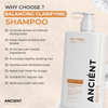 Ancient Roots Balancing Clarifying Shampoo with Neem, Karanja, Turmeric, Ginger, Reetha and Shikakai for Oily Roots and Scalp, 8 Fl Oz