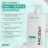 Ancient Roots Sulfate Free Daily Gentle Shampoo for Normal Hair, Scalp Comfort Shampoo for Men and Women, 8 Fl Oz