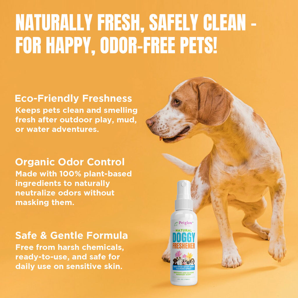 Petglow Natural Pet Odor Eliminator Spray for Dogs, Deodorizer with Neem, Ginger and Rosemary Extracts, Odor Controlling, Lasting Freshness