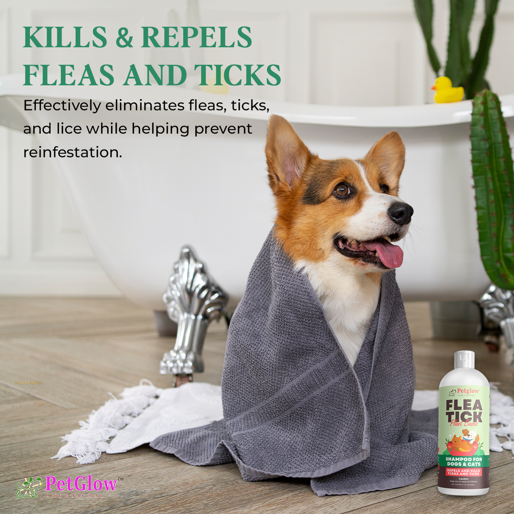 Petglow Plant-Based Flea and Tick Shampoo, for Dogs and Cats, with Cedarwood Rosemary, Botanical Daily Pet Wash, No Parabens, Phthalates, Chlorides, Good for Sensitive Skin, 4 Fl Oz