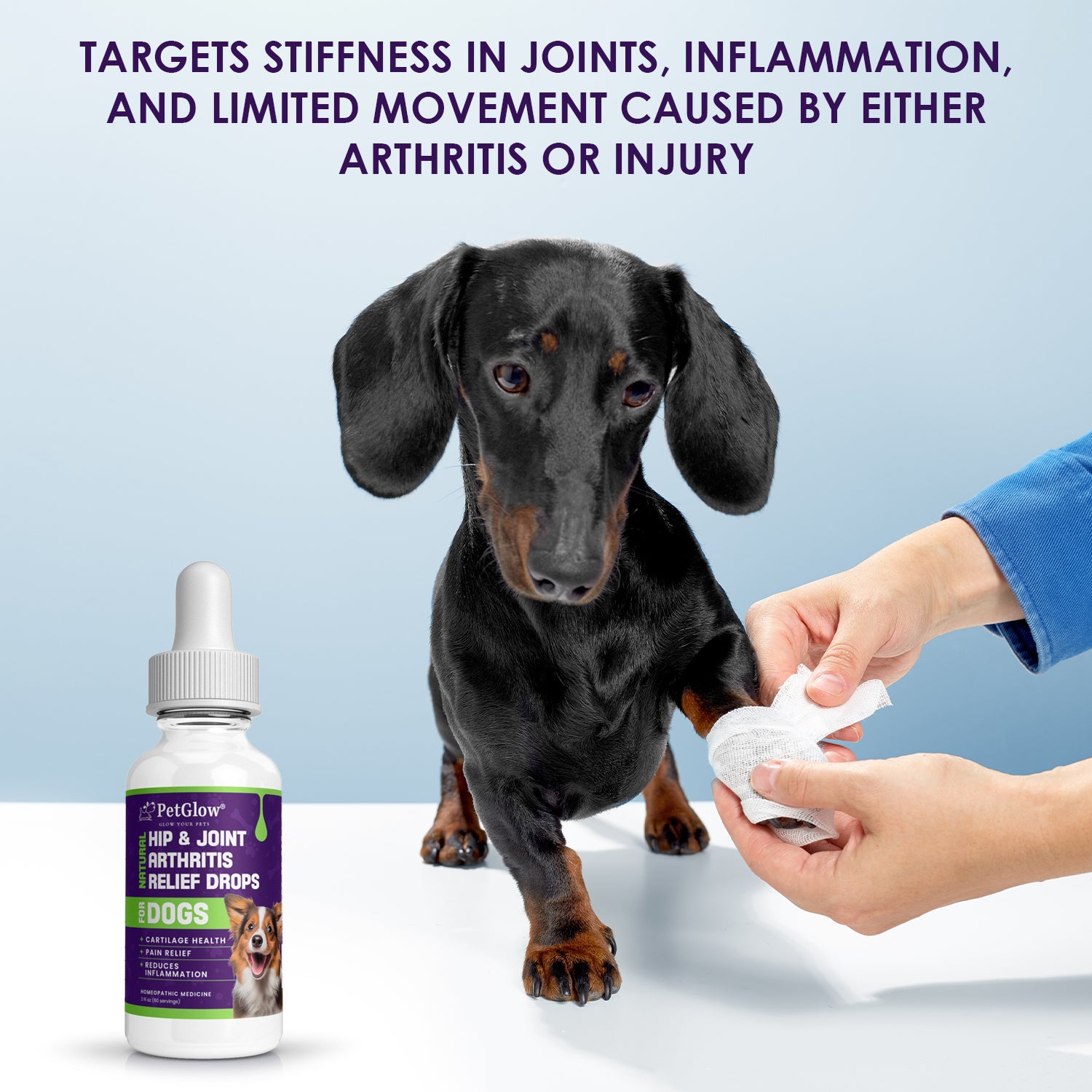 PetGlow® Natural Hip & Joint Arthritis Relief Drops with Curcumin & Boswellia for Dogs & Cats