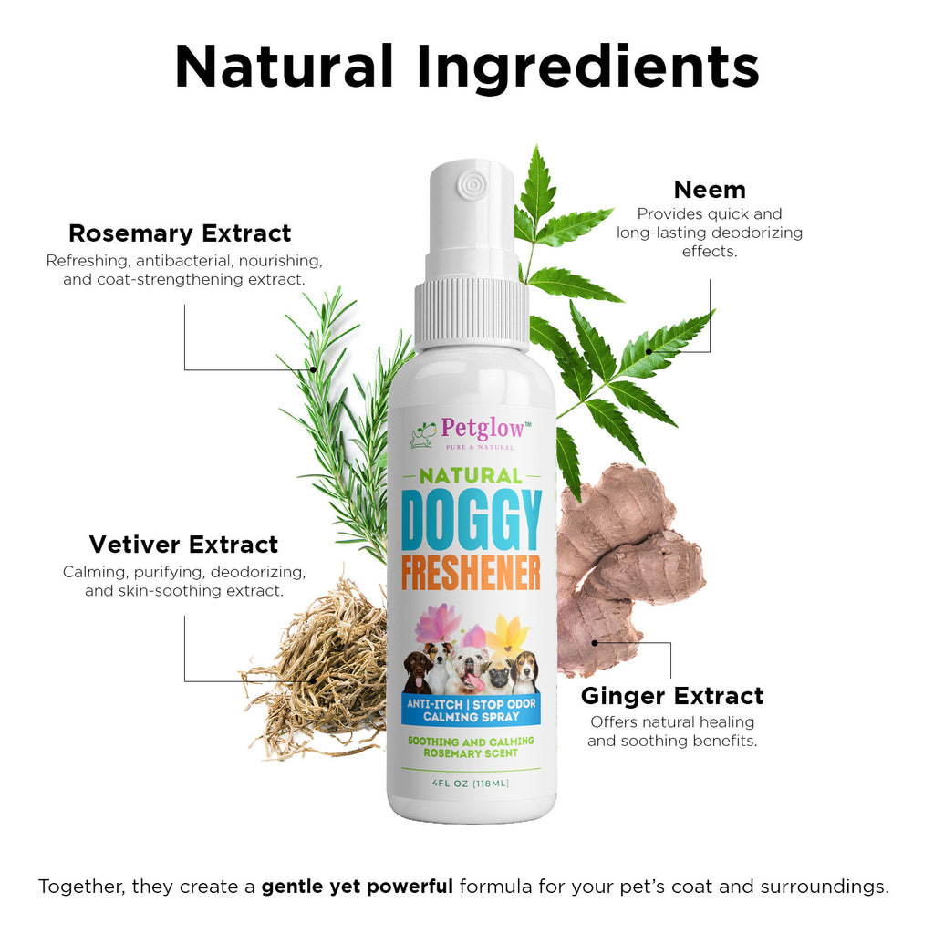 Petglow Natural Pet Odor Eliminator Spray for Dogs, Deodorizer with Neem, Ginger and Rosemary Extracts, Odor Controlling, Lasting Freshness