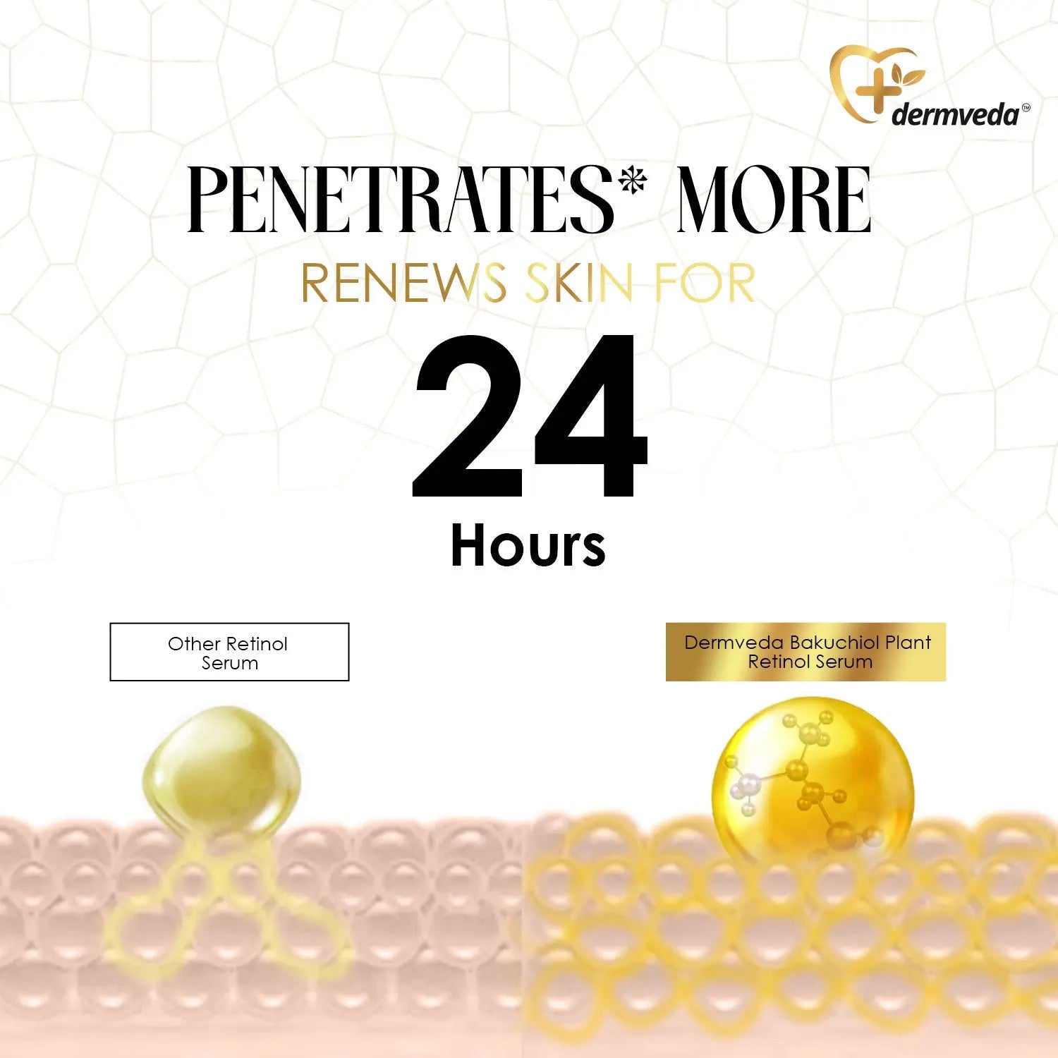 Bakuchiol serum penetrates skin for 24 hours, better than retinol serum