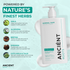 Ancient Roots Sulfate Free Daily Gentle Shampoo for Normal Hair, Scalp Comfort Shampoo for Men and Women, 8 Fl Oz