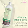 Bottle of PetGlow Complete Flea and Tick Treatment with text on a light background