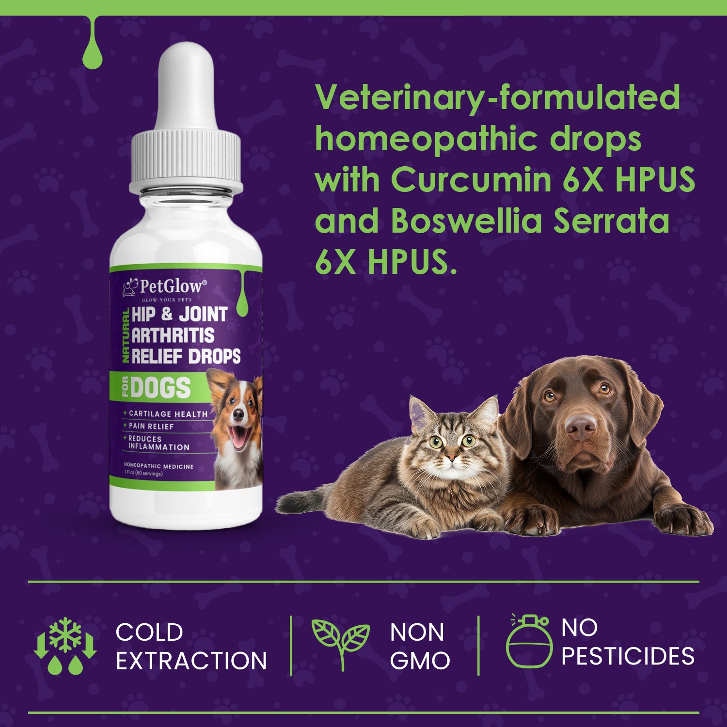 PetGlow® Natural Hip & Joint Arthritis Relief Drops with Curcumin & Boswellia for Dogs & Cats