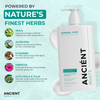 Ancient Roots Daily Gentle Conditioner for Normal Hair, Lightweight Detangling Conditioner for Natural Shine, 8 Fl Oz
