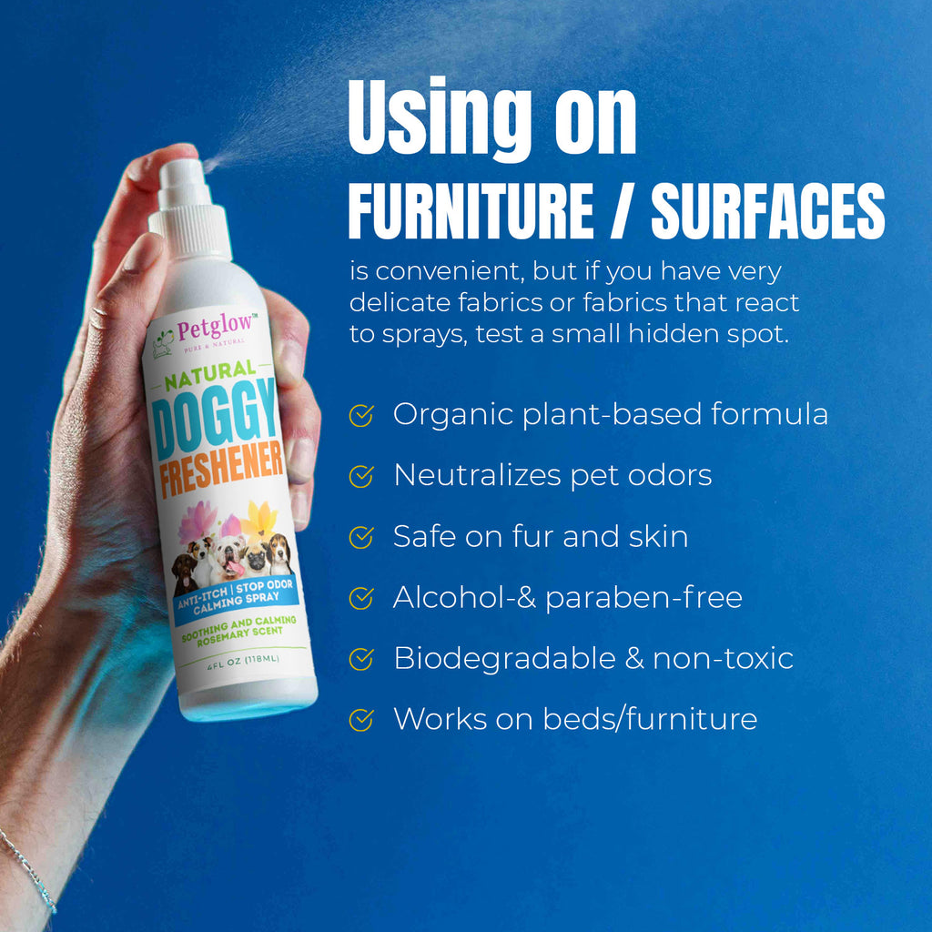 Petglow Natural Pet Odor Eliminator Spray for Dogs, Deodorizer with Neem, Ginger and Rosemary Extracts, Odor Controlling, Lasting Freshness