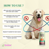 Dog with PetGlow flea and tick treatment bottle and usage instructions on a beige background