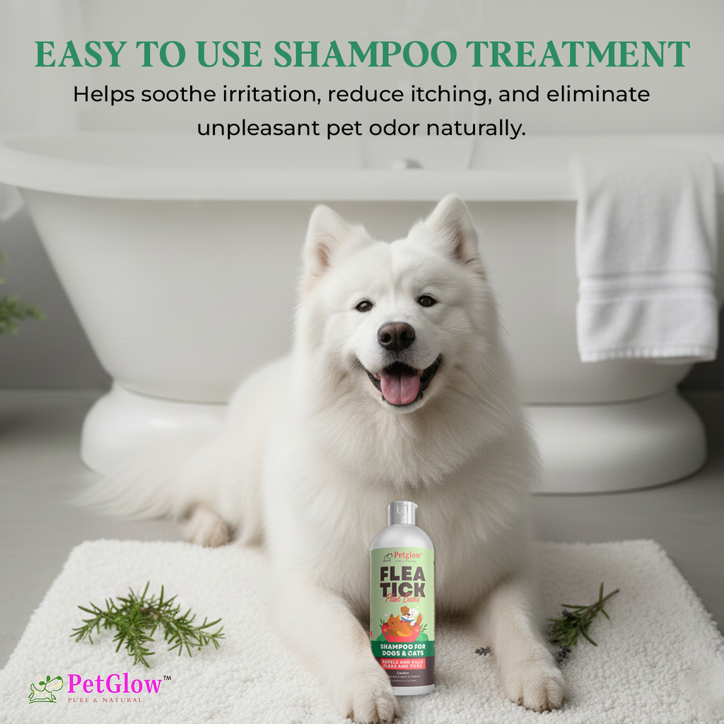 White dog sitting on a bath mat with a bottle of PetGlow shampoo in front of a bathtub.