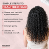 Ancient Roots Curly/Wavy Hair Curl Respect Conditioner with Aloe Vera, Flaxseed, Fenugreek, Hibiscus, Amla and Castor, High Slip Care for 2B-3C Curls, 8 Fl Oz