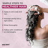 Ancient Roots Shampoo for Fine or Thin Hair, Weightless Volume Shampoo with Gotu Kola, Aloe Vera, Flaxseed and Fenugreek, 8 Fl Oz