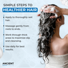 Ancient Roots Thick Hair Rich Detangling Shampoo, Sulfate Free Shampoo, Aloe Vera Flaxseed Fenugreek Hibiscus Amla, Frizz Control Nourishing Cleanse and Smoothness, 8 Fl Oz