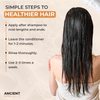 Ancient Roots Balancing Light Conditioner with Aloe Vera, Gotu Kola, Amla and Flaxseed, Lightweight Moisture for Oily Roots and Fine Lengths, 8 Fl Oz
