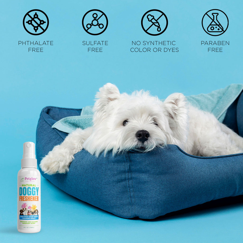 Petglow Natural Pet Odor Eliminator Spray for Dogs, Deodorizer with Neem, Ginger and Rosemary Extracts, Odor Controlling, Lasting Freshness