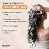 Ancient Roots Balancing Clarifying Shampoo with Neem, Karanja, Turmeric, Ginger, Reetha and Shikakai for Oily Roots and Scalp, 8 Fl Oz
