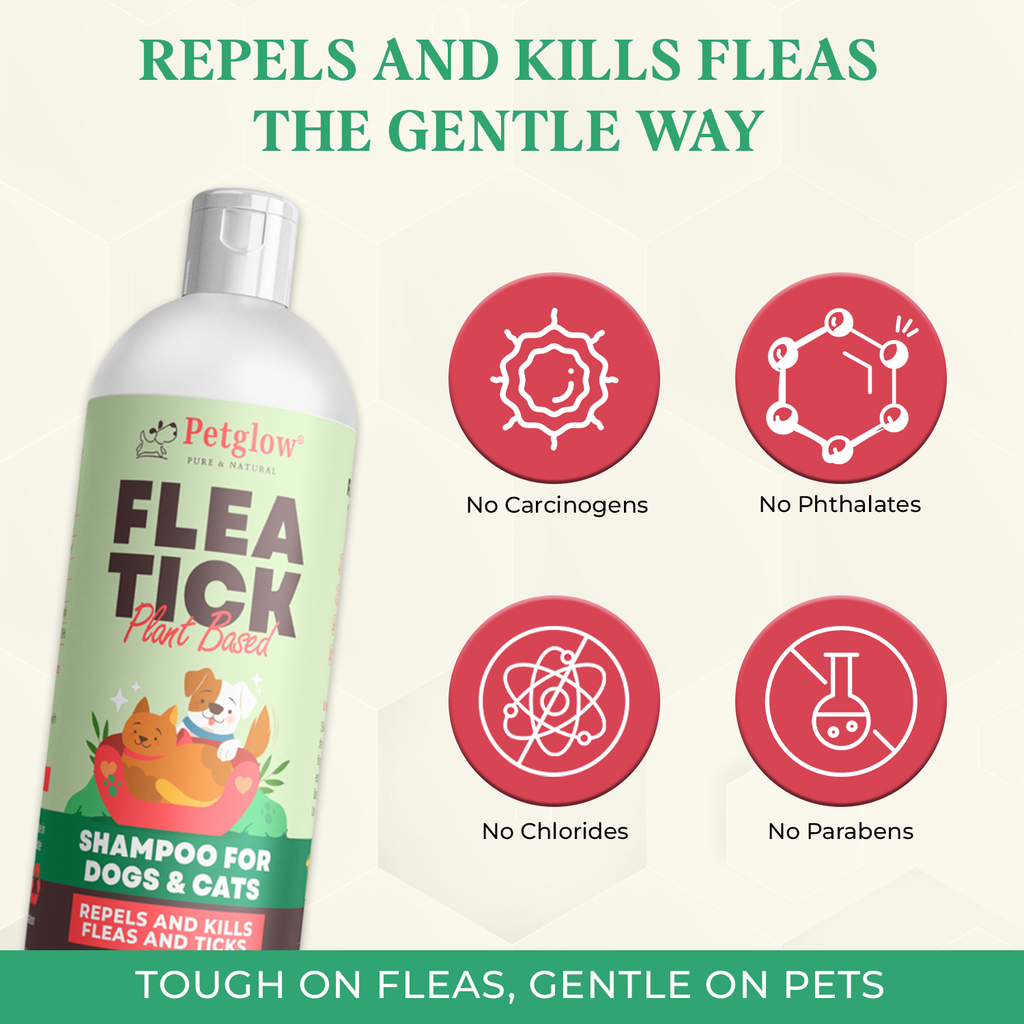 Petglow Plant-Based Flea and Tick Shampoo, for Dogs and Cats, with Cedarwood Rosemary, Botanical Daily Pet Wash, No Parabens, Phthalates, Chlorides, Good for Sensitive Skin, 4 Fl Oz