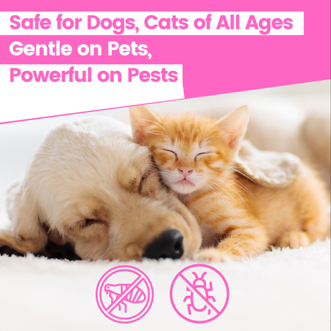 Flea and Tick treatment for Dogs and Cats