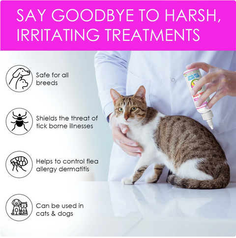 Flea and Tick treatment for Dogs and Cats