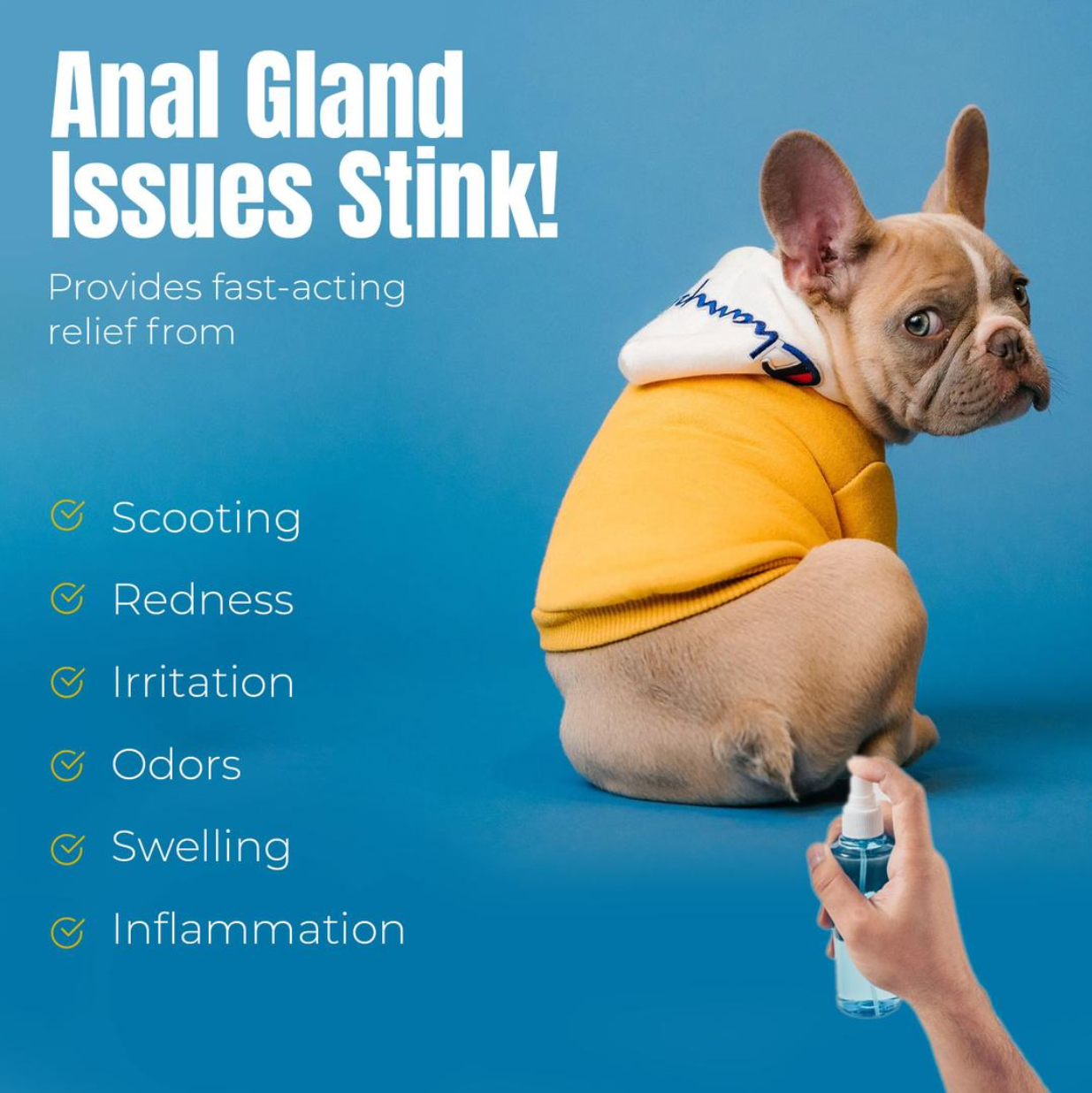 Petglow Dog Anal Gland Infection Treatment - Hygiene Spray, 4 fl oz