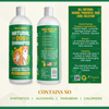 Wild Herbs Natural Dog Shampoo 10