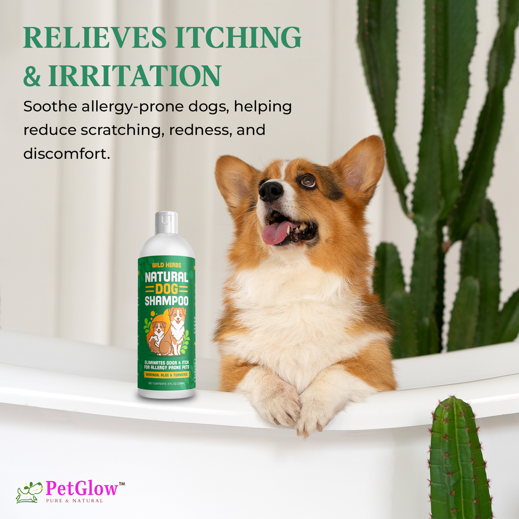 Wild Herbs Natural Dog Shampoo 2