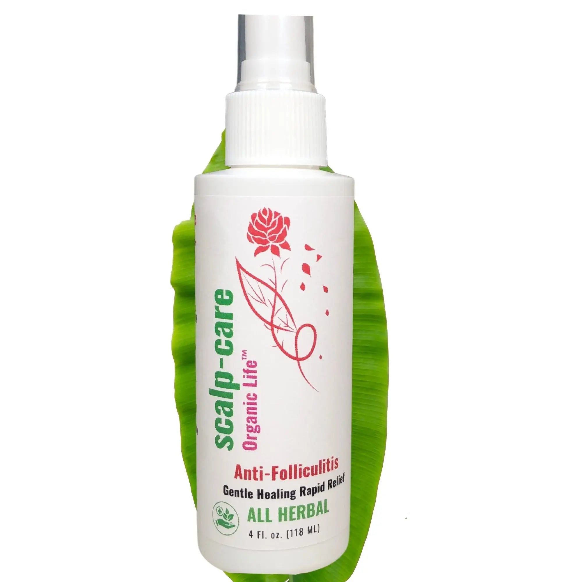 Herbal dermatitis dry shampoo for itchy scalp and folliculitis solution.